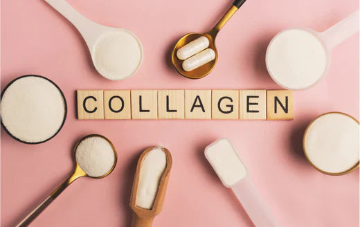 How does Collagen promote Gut Health?